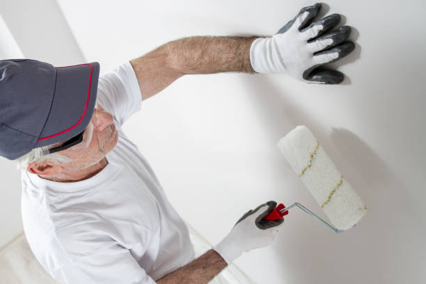 Best Comprehensive Air Testing for Mold Contaminants  in Sedro Woolley, WA