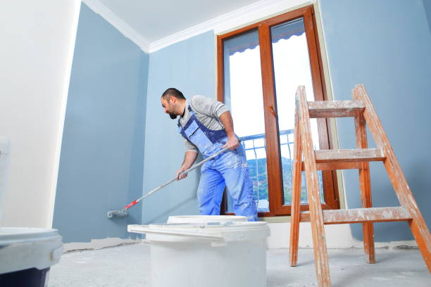 Best Attic Mold Removal  in Sedro Woolley, WA