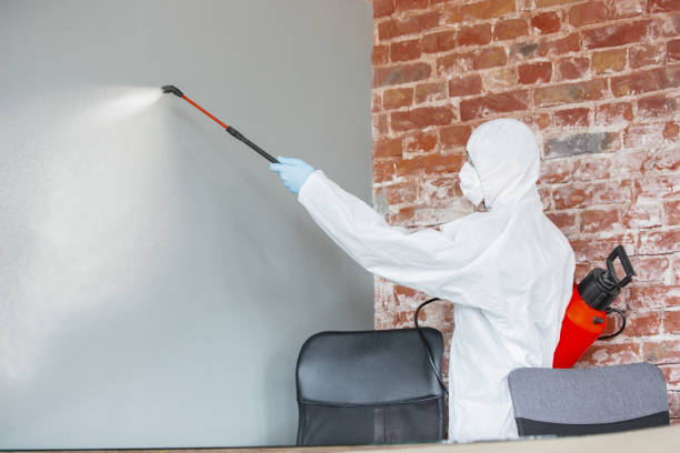 Best Indoor Air Quality Assessment  in Sedro Woolley, WA