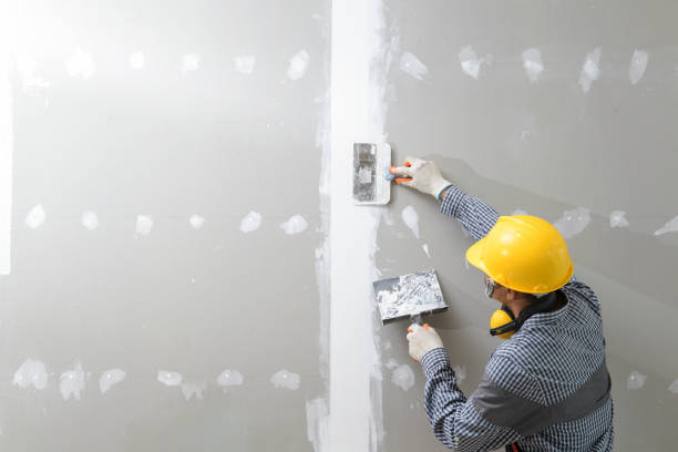 Best Post-Construction Mold Inspection  in Sedro Woolley, WA