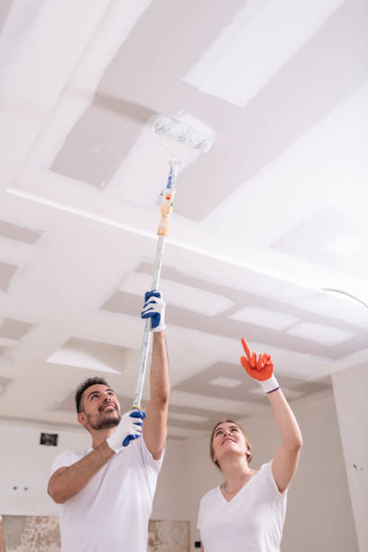 Best Basement Mold Removal  in Sedro Woolley, WA