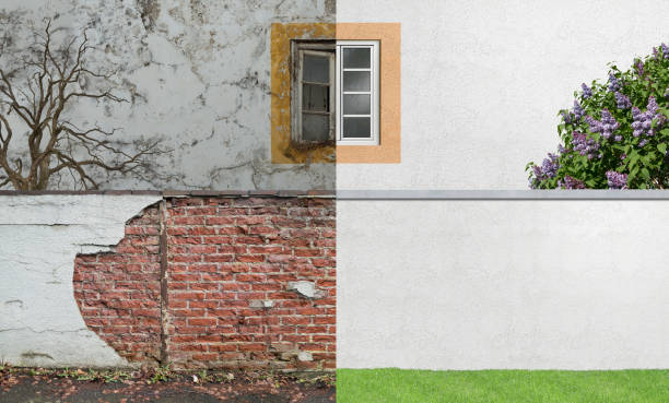 Best Environmental Consulting for Mold Prevention  in Sedro Woolley, WA